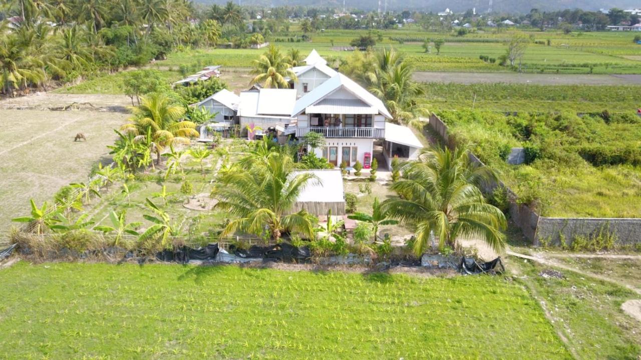 The Daun Puntik Homestay Pemenang Εξωτερικό φωτογραφία