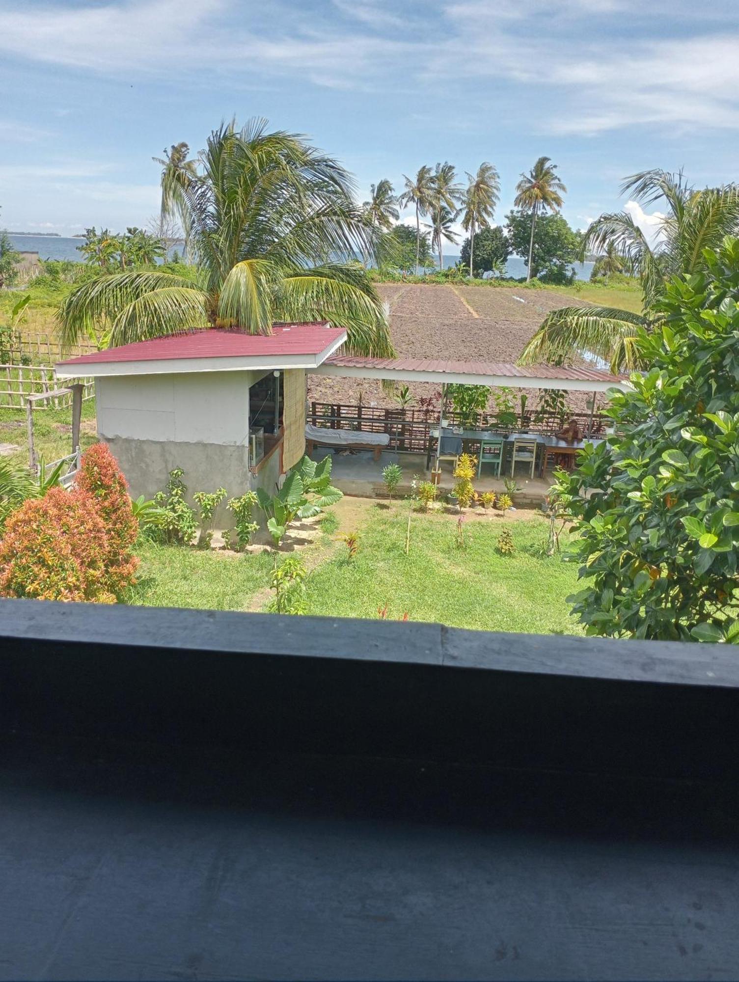 The Daun Puntik Homestay Pemenang Εξωτερικό φωτογραφία