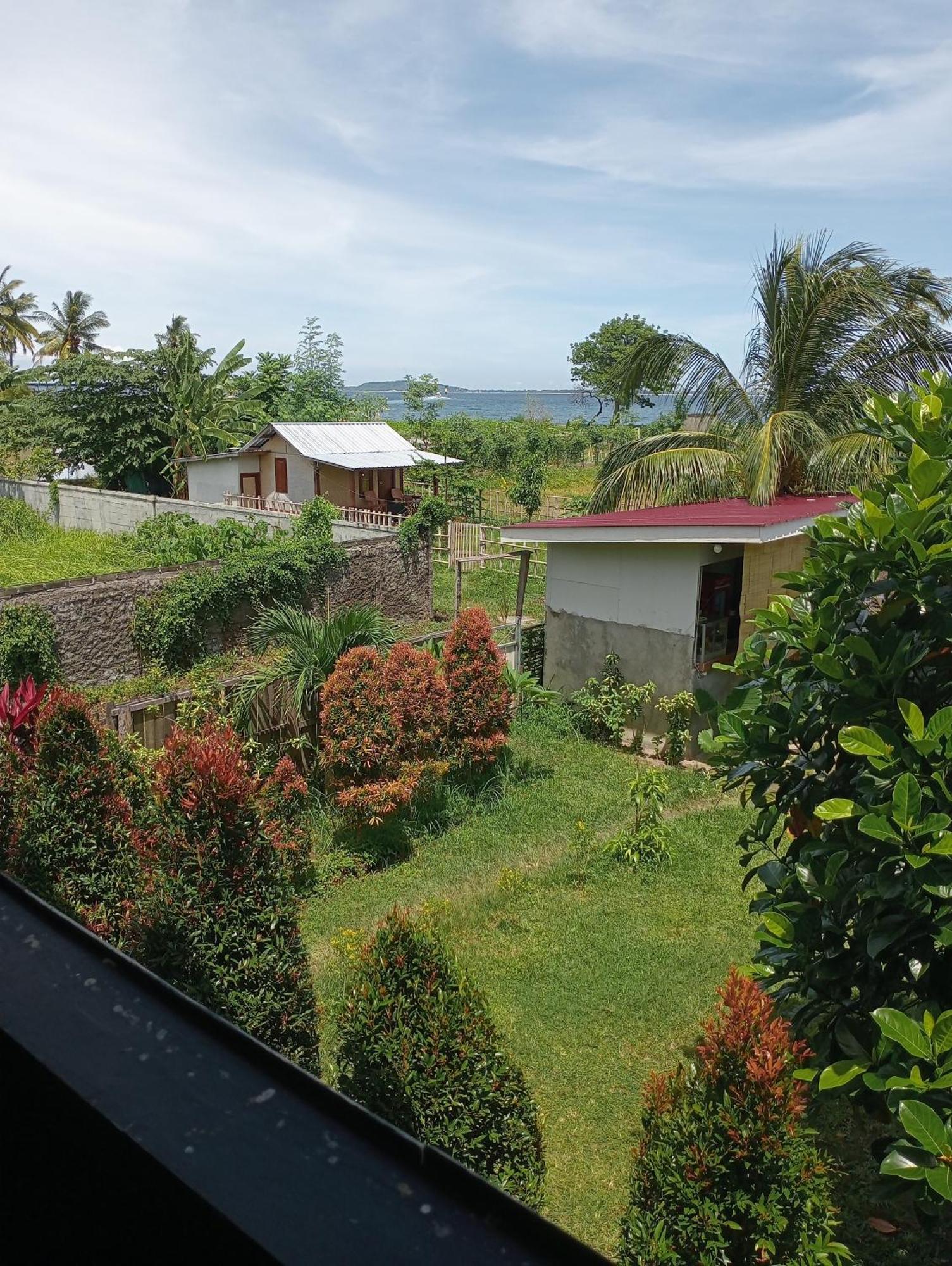 The Daun Puntik Homestay Pemenang Εξωτερικό φωτογραφία
