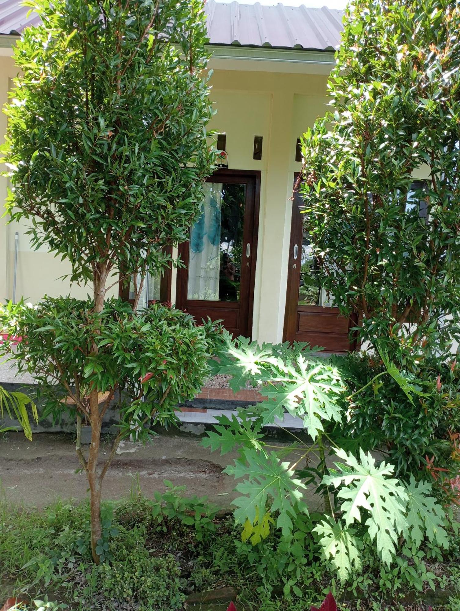 The Daun Puntik Homestay Pemenang Εξωτερικό φωτογραφία